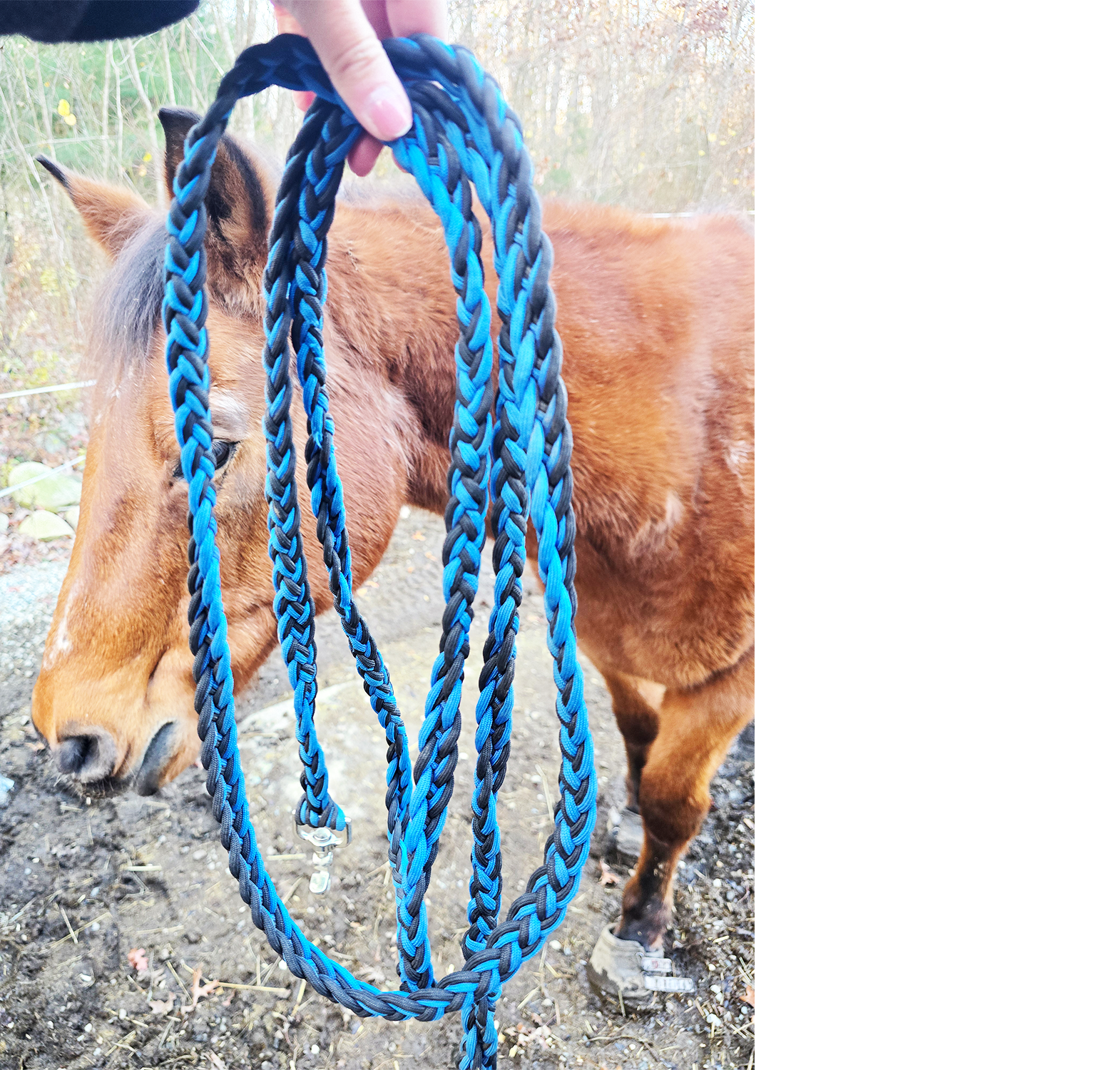 Farm Lead in Blue