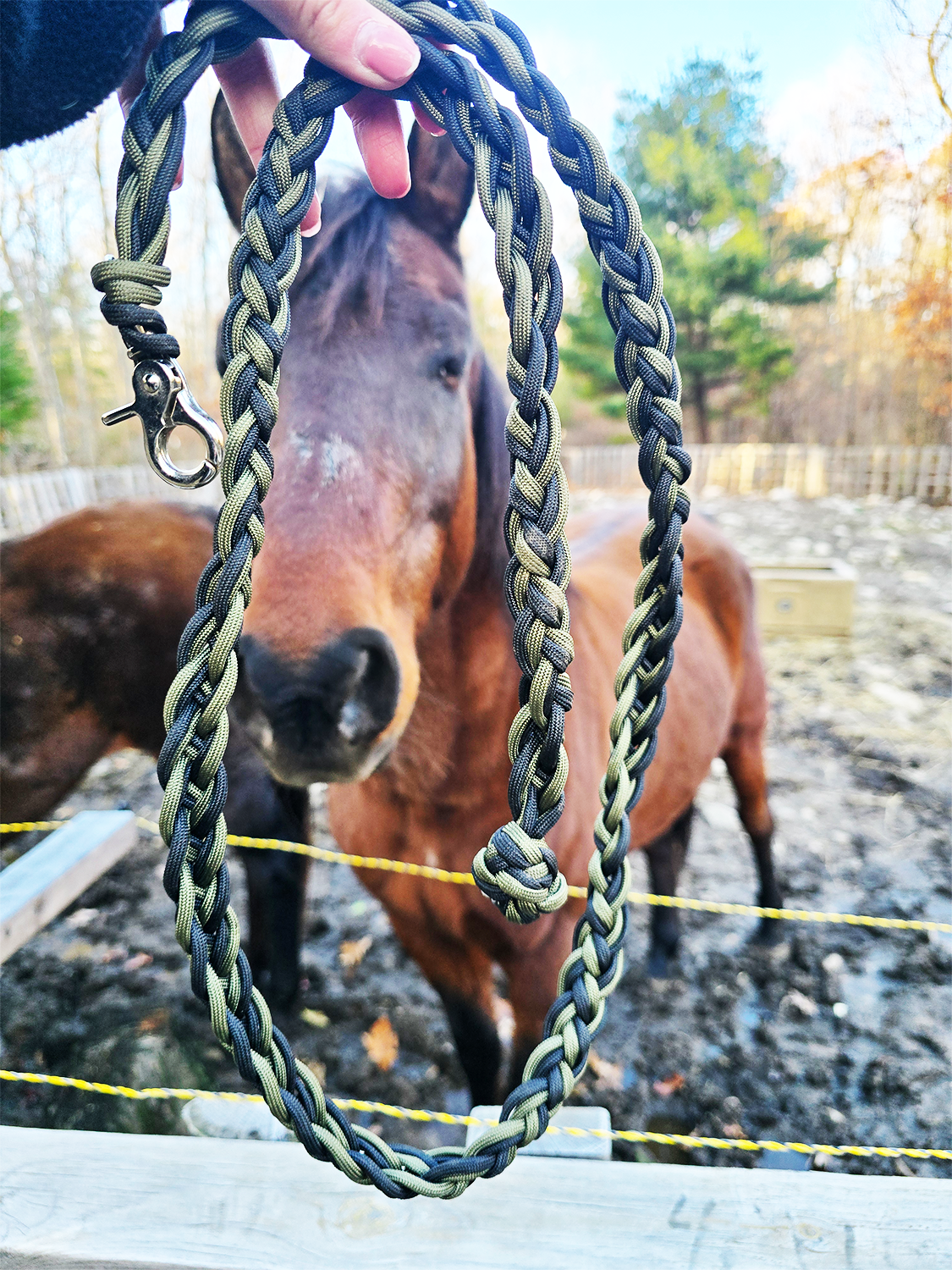 Farm Lead in Forest Green
